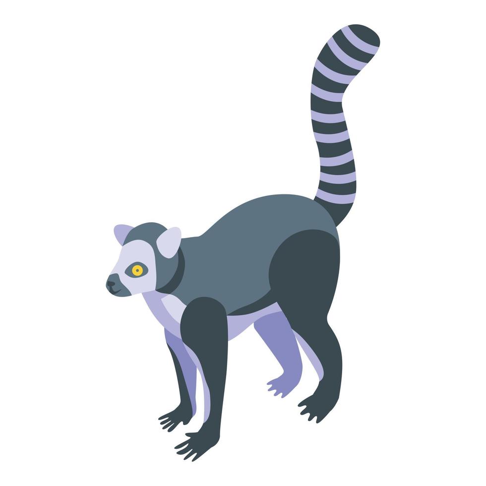 icono de lémur tropical, estilo isométrico vector