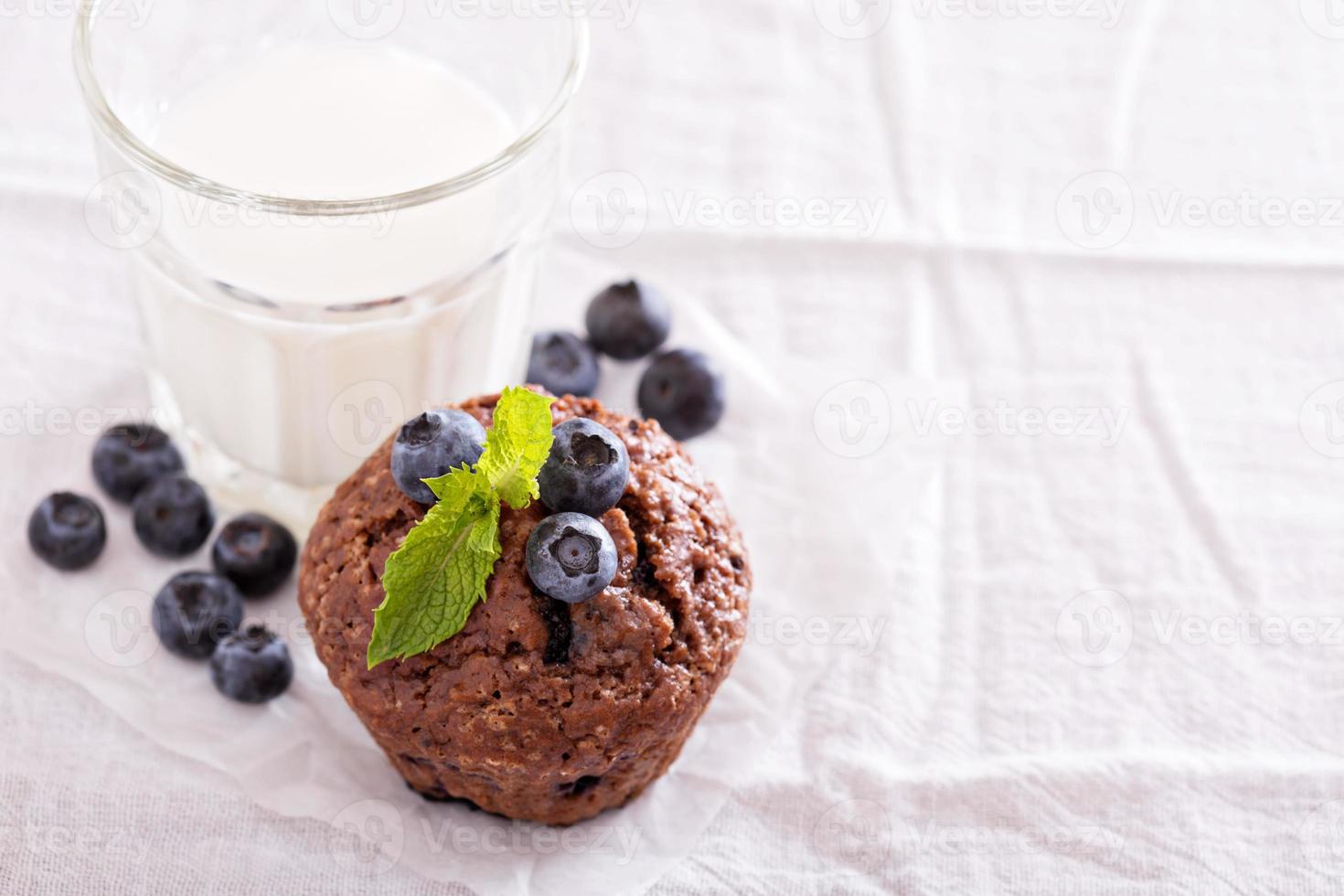 Chocolate muffin with blueberries photo