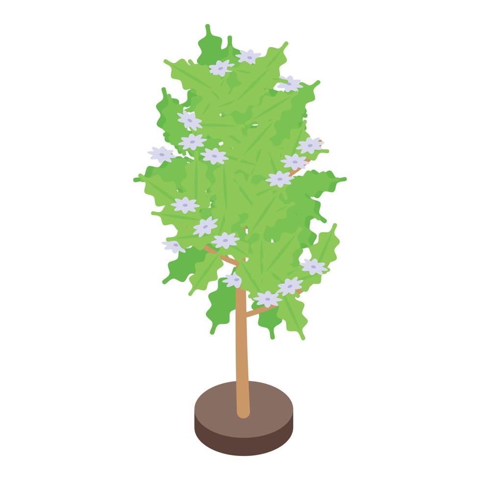 Coffee bush icon, isometric style vector
