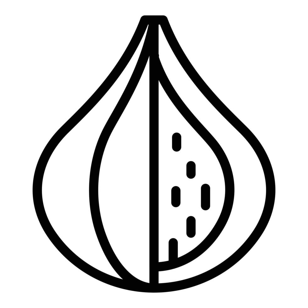 Natural fig icon, outline style vector