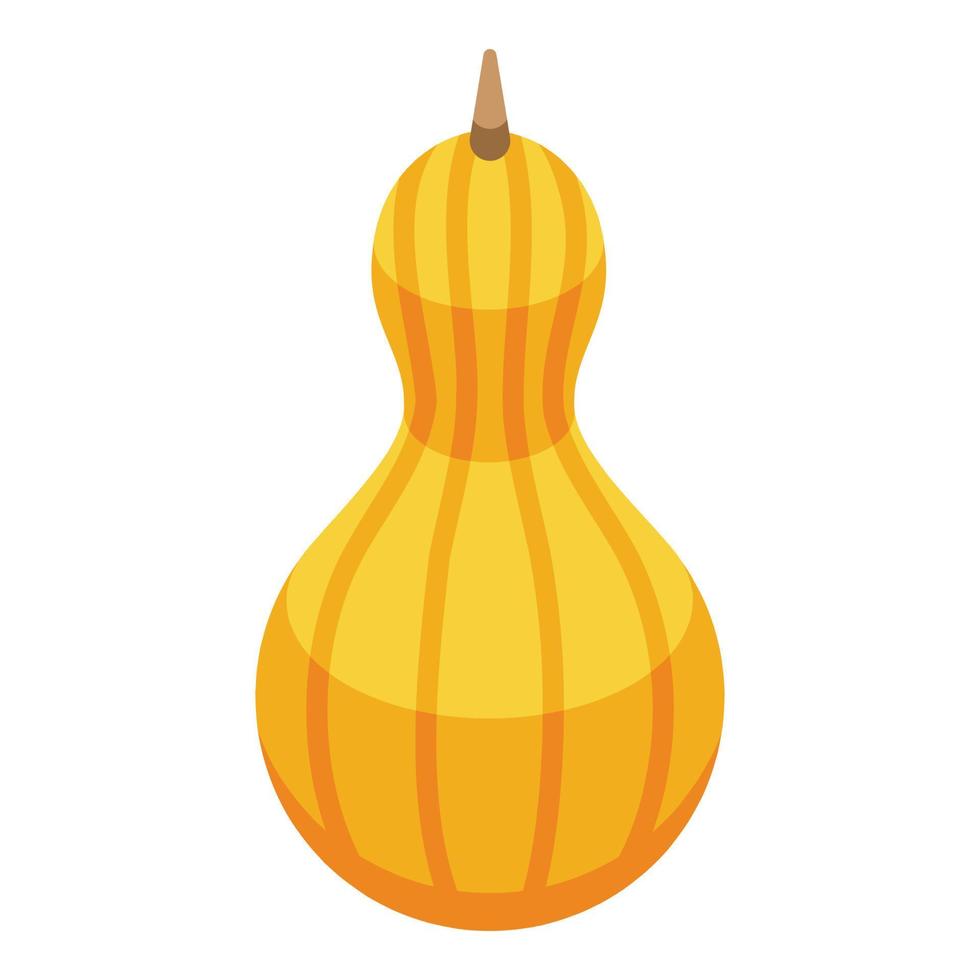 Pumpkin icon, isometric style vector