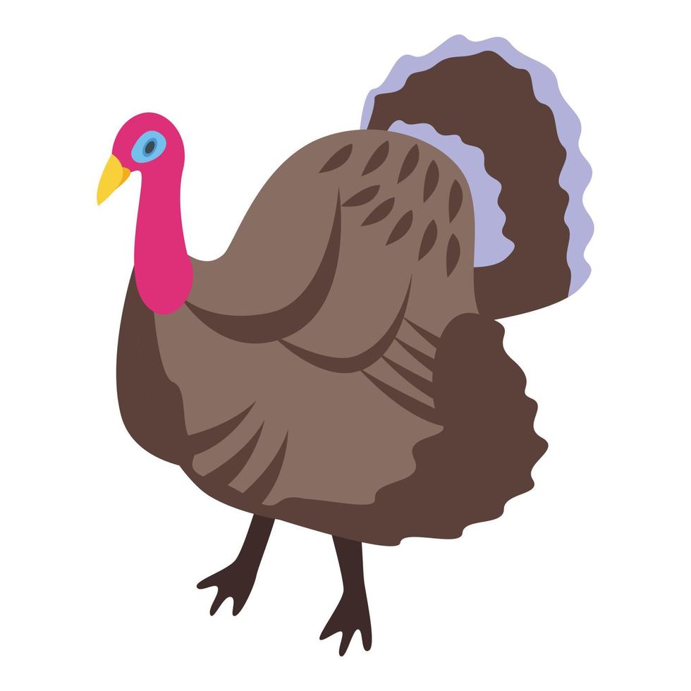 Big turkey icon, isometric style vector