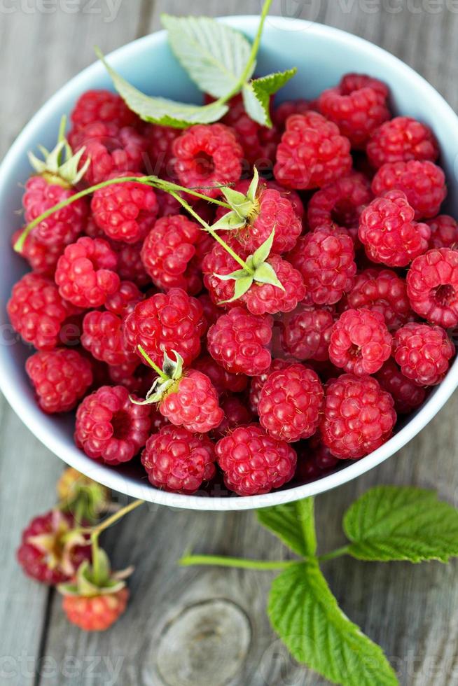 Fresh raspberries in a bowl photo