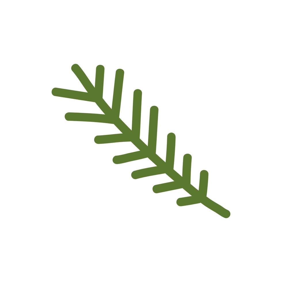 Doodle fir branch. Vector illustration of green spruce twig. Clipart.