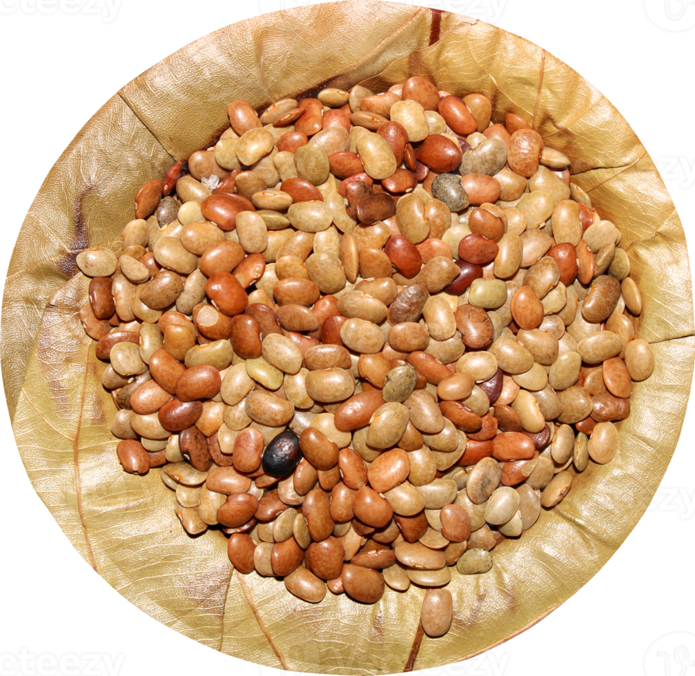 Horse Gram on a Sal Tree Leaf Plate. png