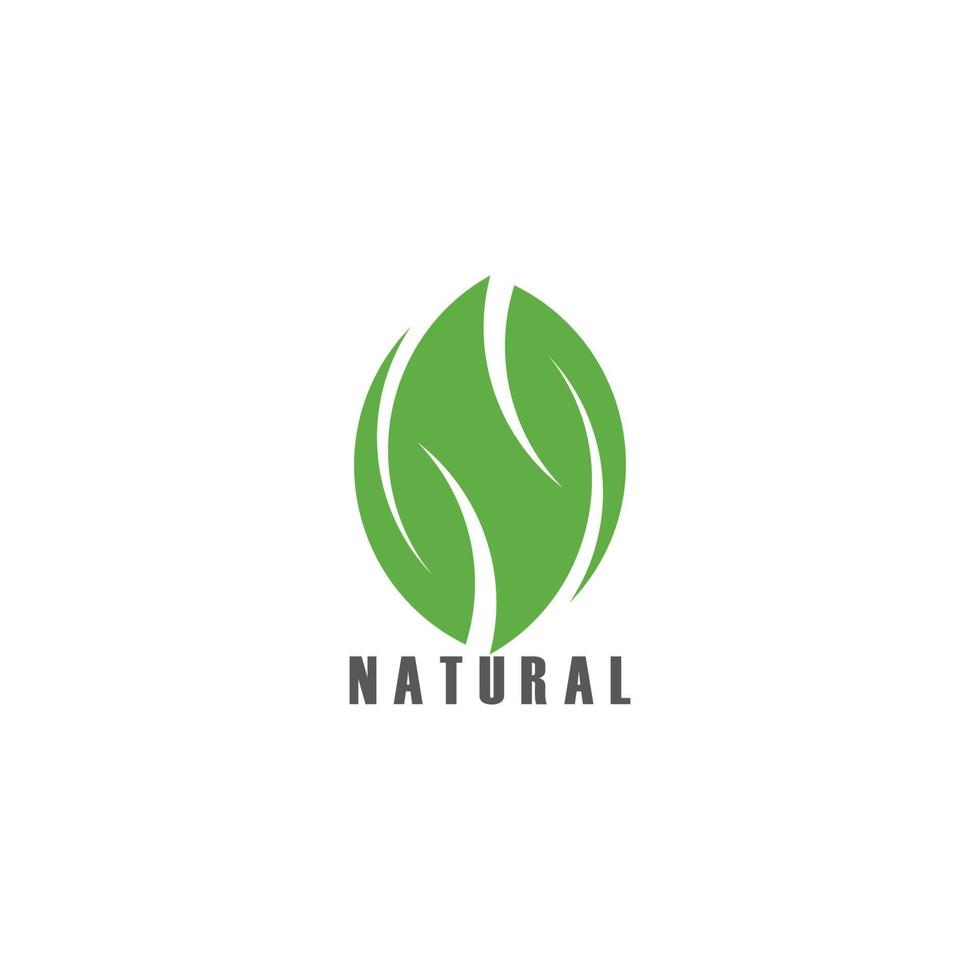 letter n natural leaf clean geometric logo vector