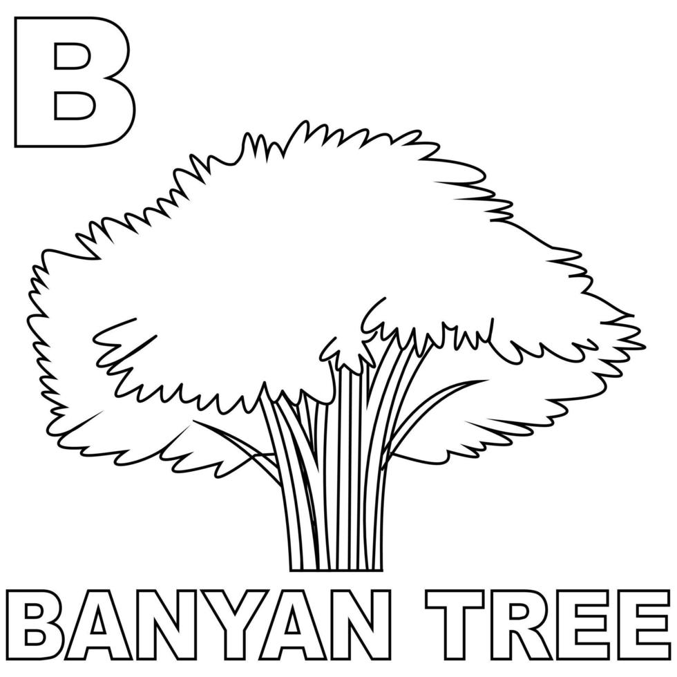 página para colorear de banyan tree, con una gran b para presentar las letras a los niños. adecuado para libros de colorear para niños y reconocimiento de letras a través de banianos. ilustración de plantas de vectores editables