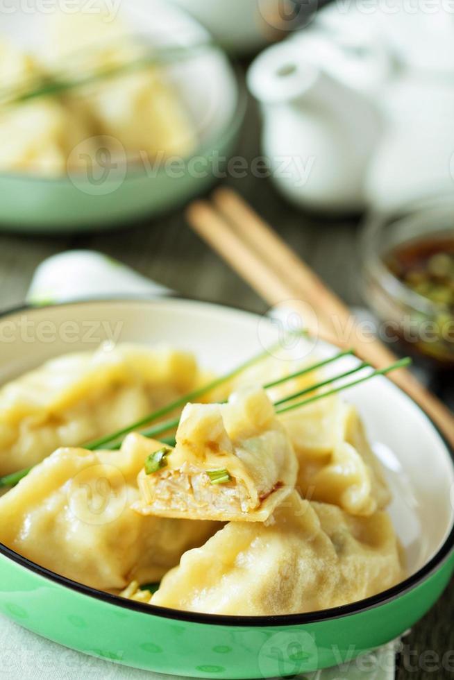 Chinese dumplings with ground chicken 15695747 Stock Photo at Vecteezy