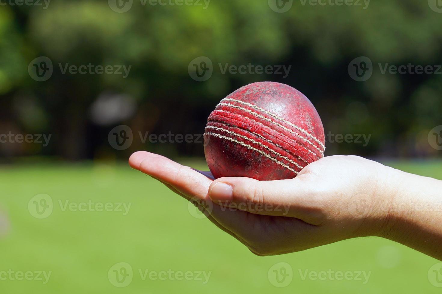 pelota de cricket en mano de mujer asiática sobre fondo verde de césped y árboles. enfoque suave y selectivo. foto