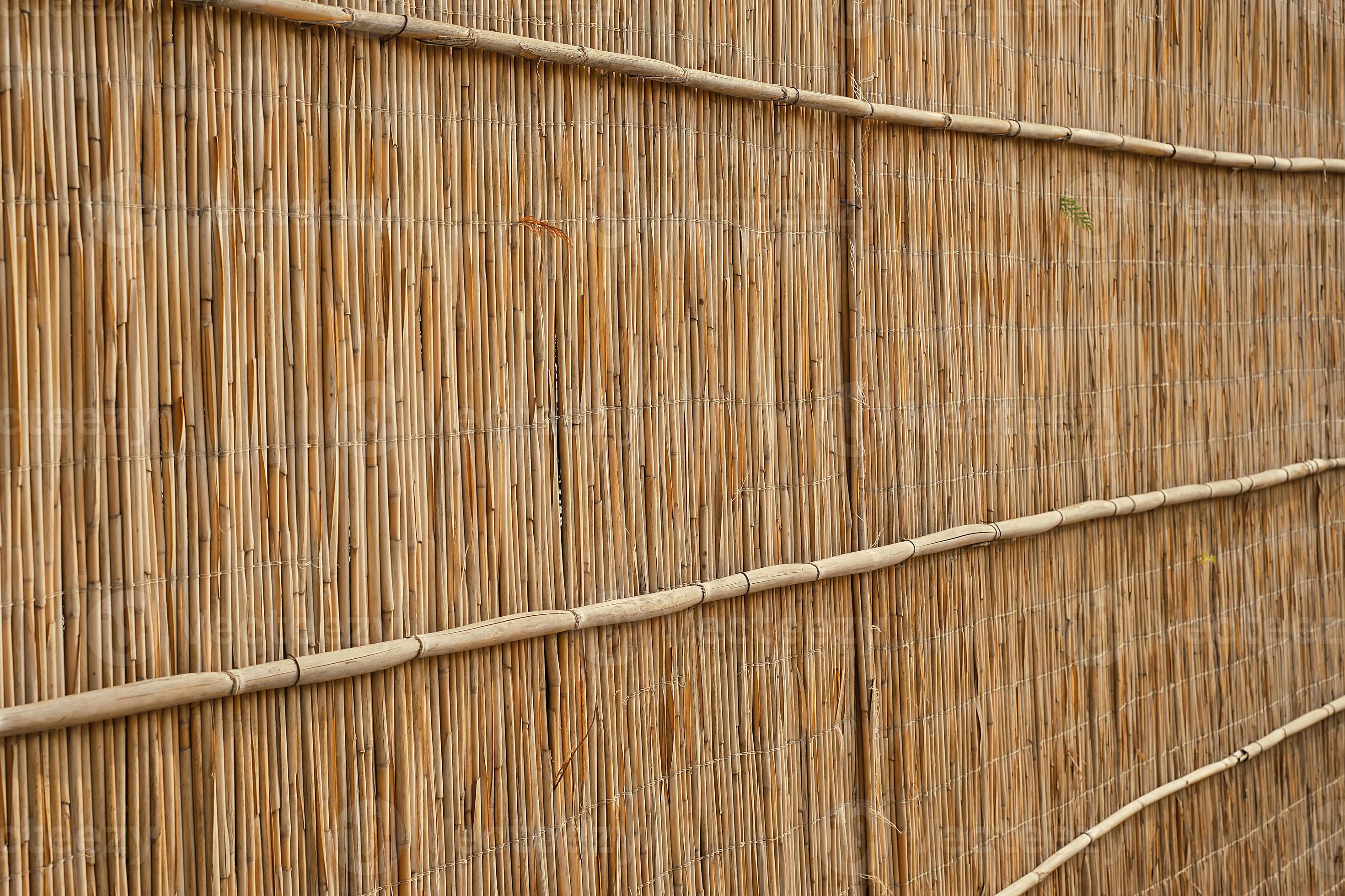 Reed fence with bamboo poles. Selective focus. Natural materials for