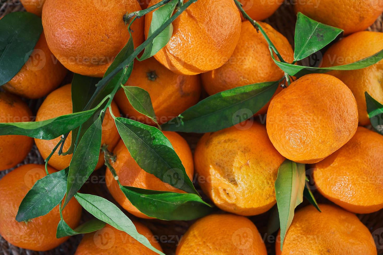Fresh fruits mandarines or tangerines with leaves, top view. Farm harvest idea for background or product advertisement photo