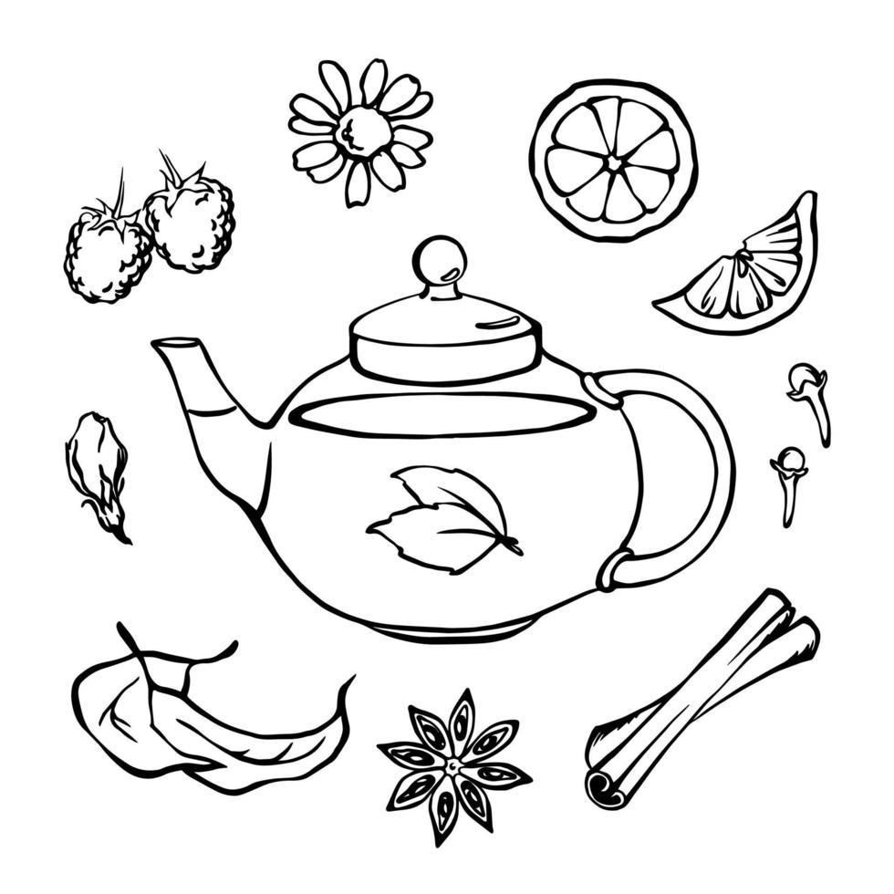 Black and white outline illustration of teapot with herbs. Mint, chamomille, jasmine, raspberry, lemon, cinnamon, carnation, anise.  Vector monochrome elements collection