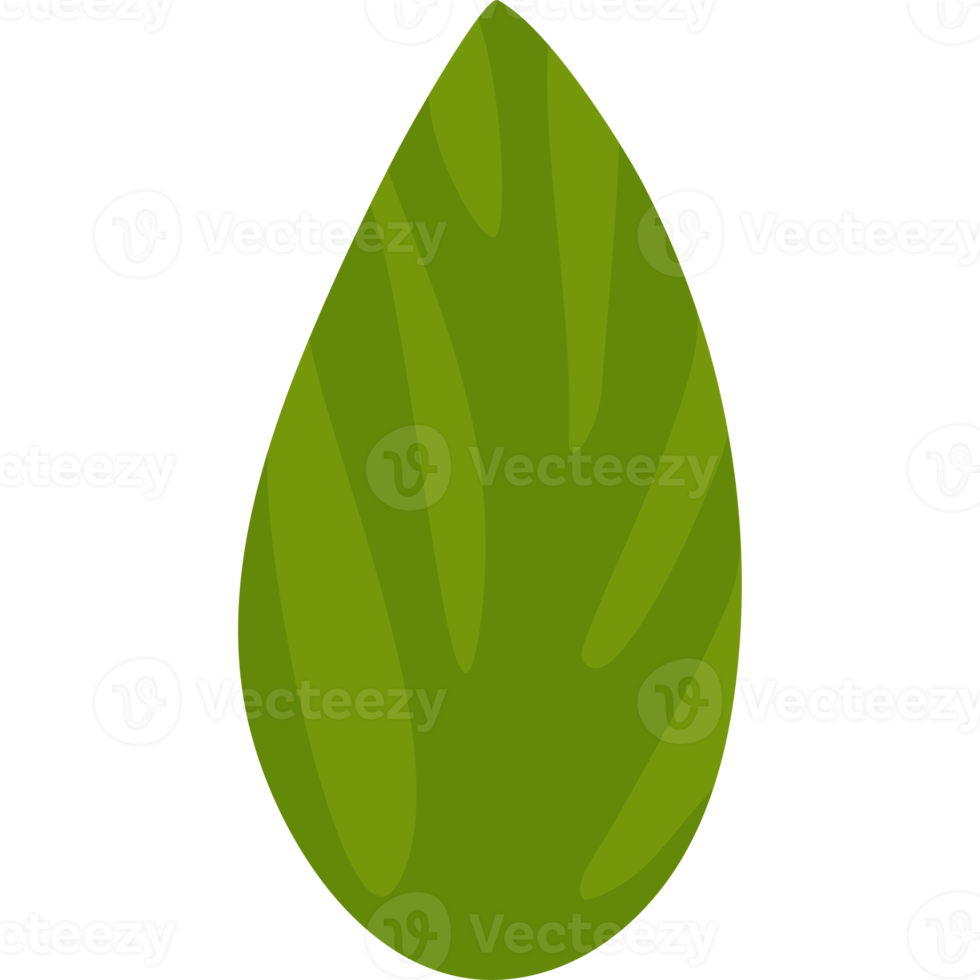 green herb leaf png