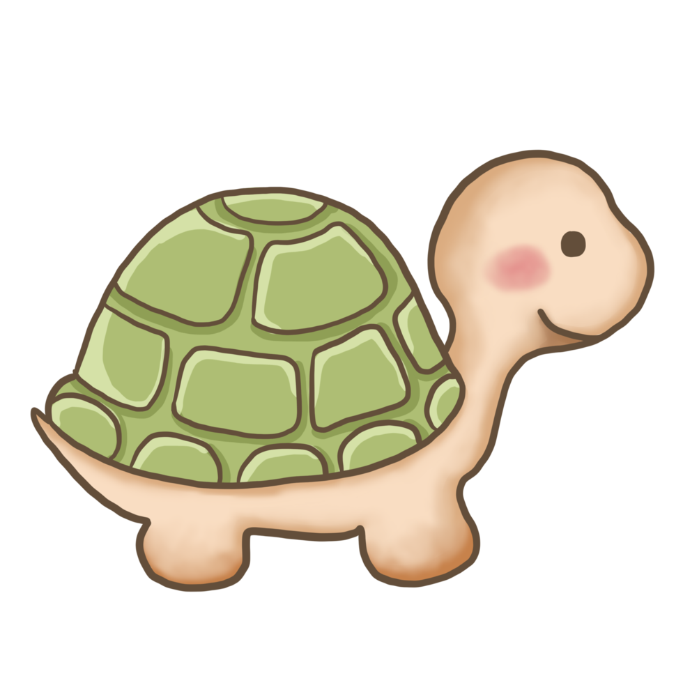 schildkröte cartoon gekritzel kawaii anime malseite niedlich illustration zeichnung clipart charakter chibi manga comics png