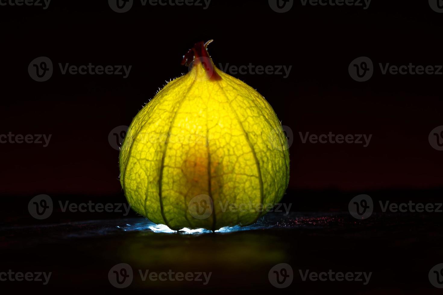 physalis on black wet ground. Lighted fruit. Vitamin C rich fruit. black background photo