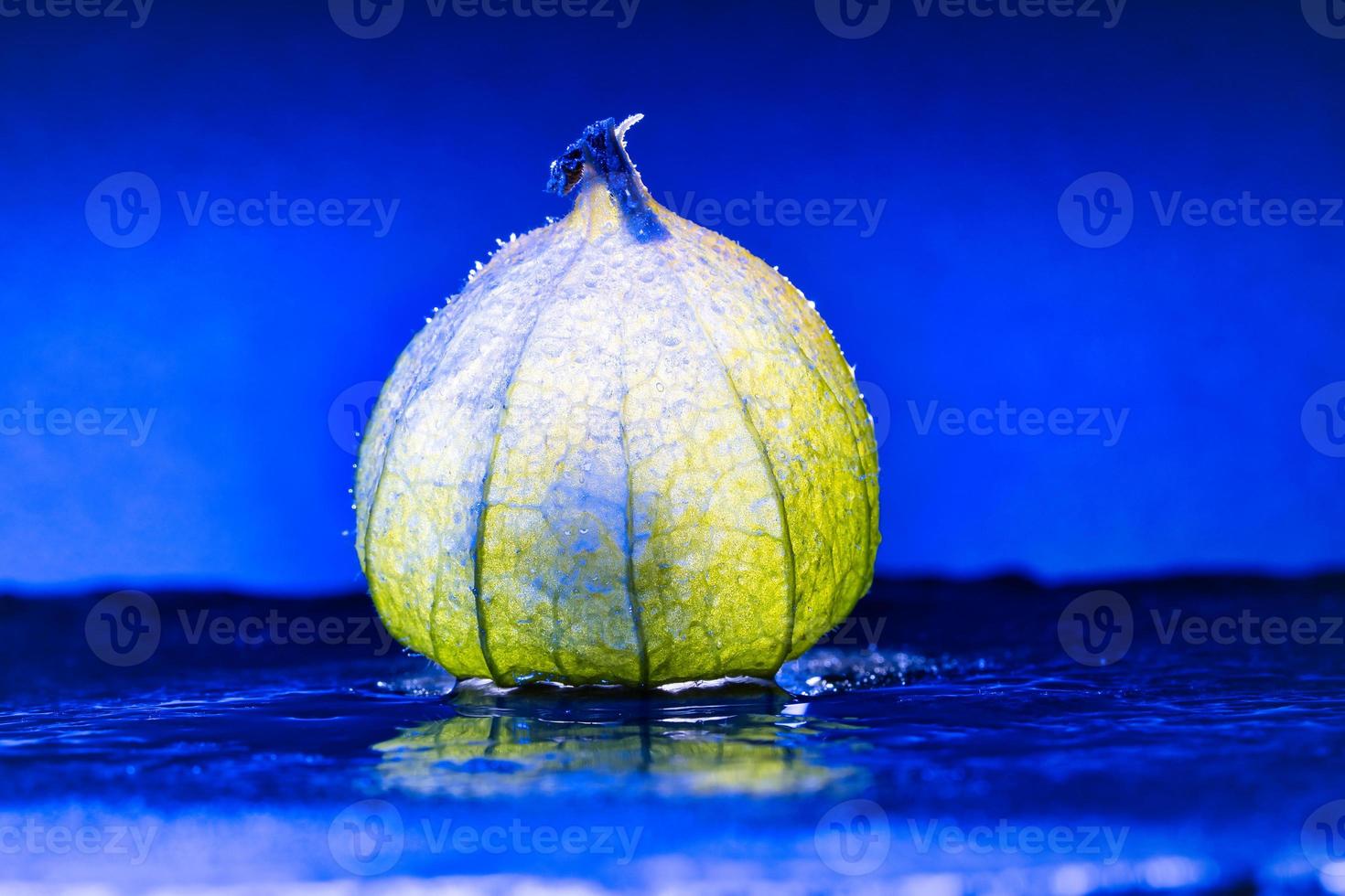 Physalis on black wet ground with blue background. Illuminated fruit. Vitamin C photo