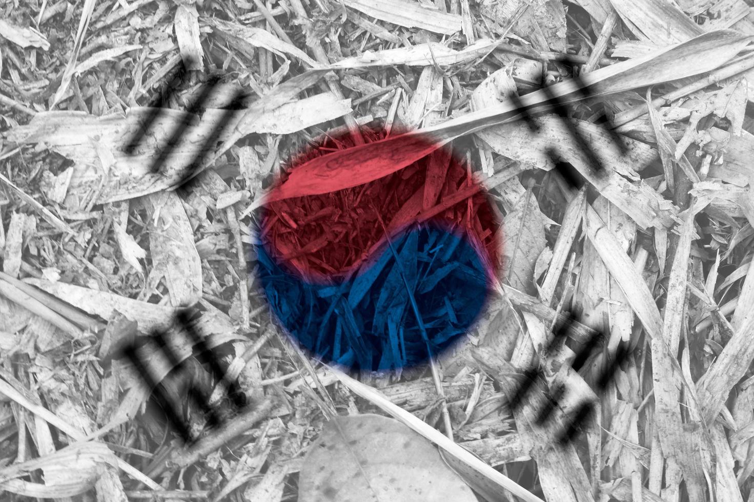 korean flag texture as a background photo