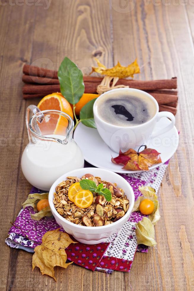 Pumpkin breakfast granola in a bowl photo