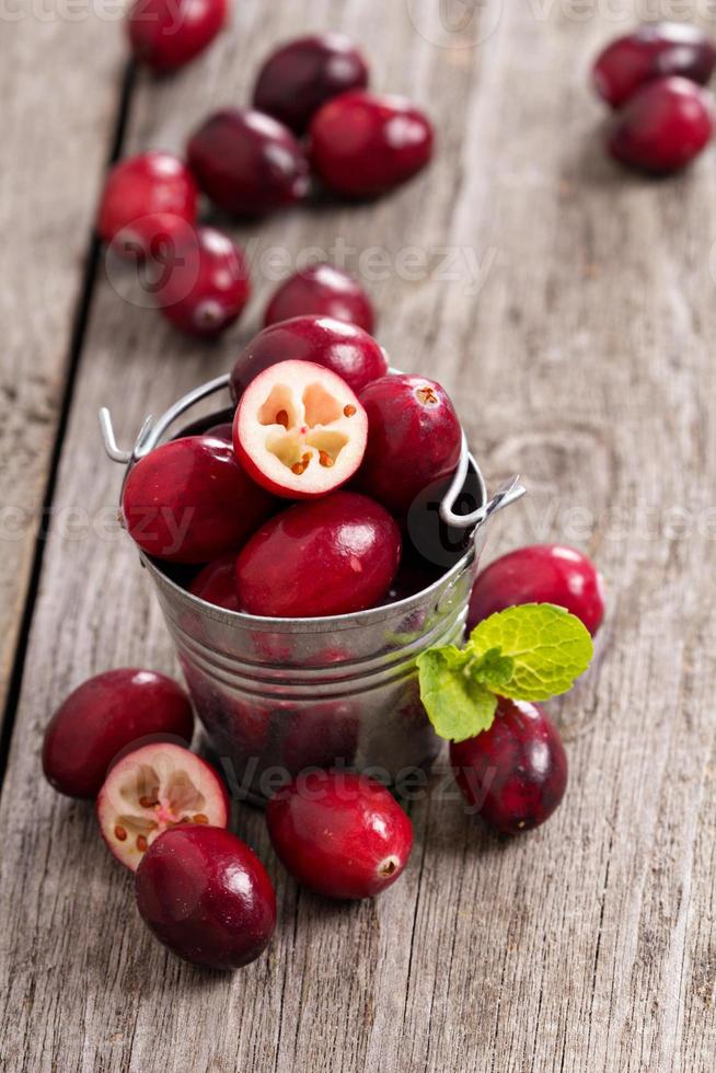 Cranberries in a bucket photo