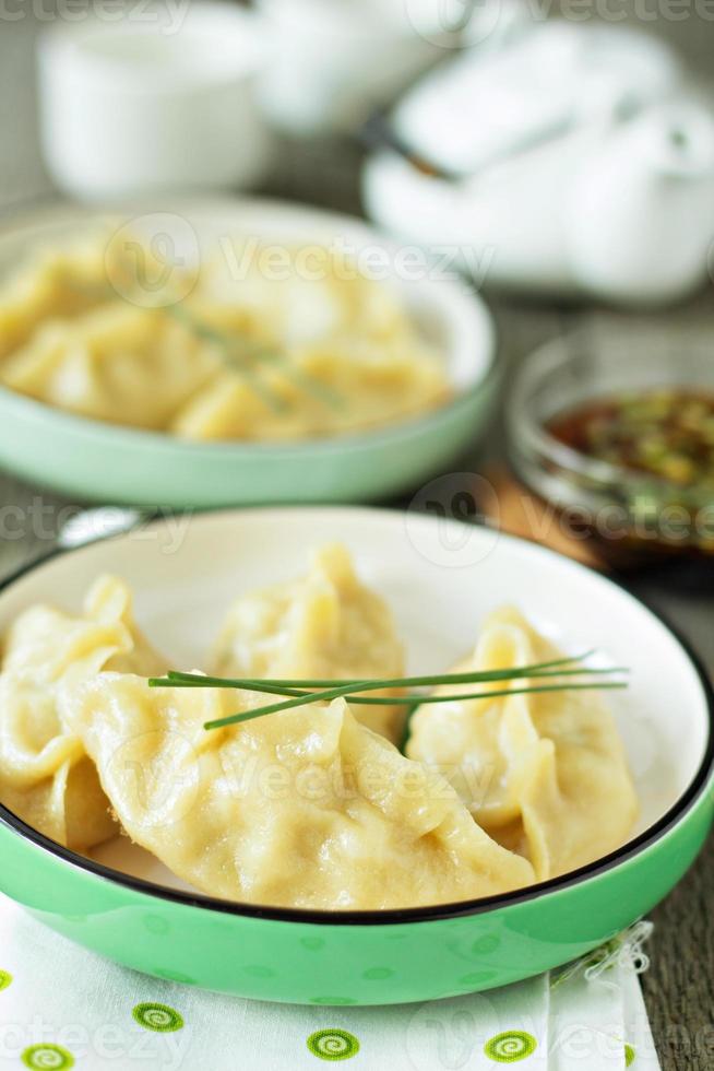 Chinese dumplings with ground chicken 15701119 Stock Photo at Vecteezy