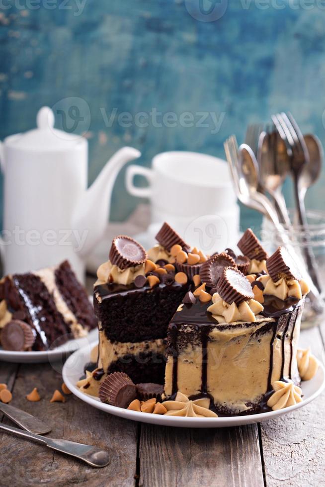 Chocolate peanut butter cake with frosting photo