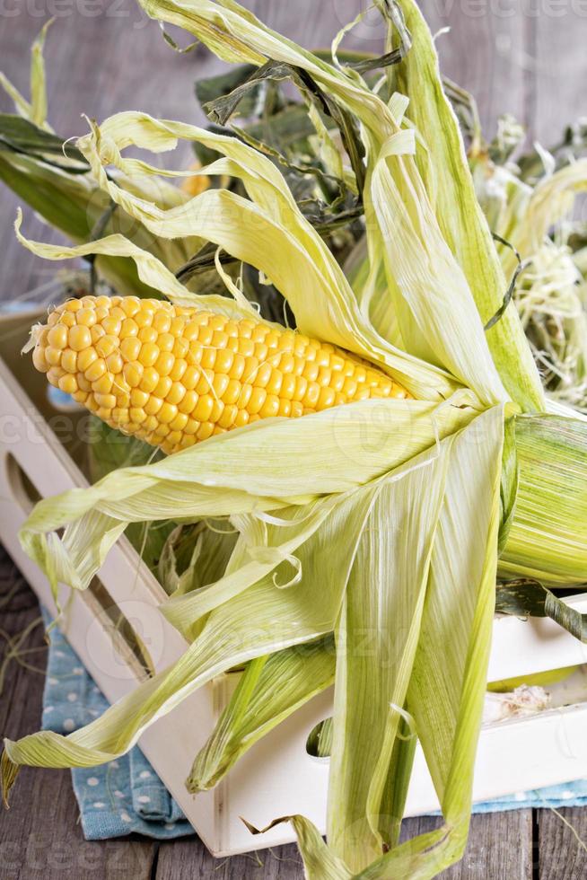 mazorca de maíz cruda fresca foto