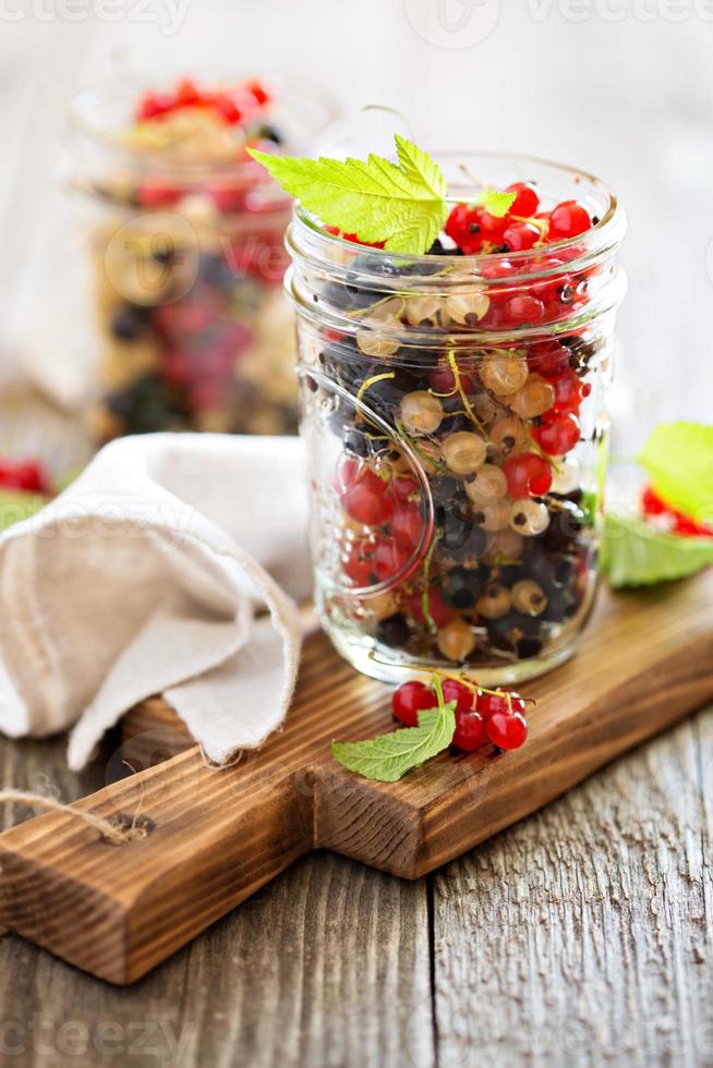 Fresh assorted currants in jars photo