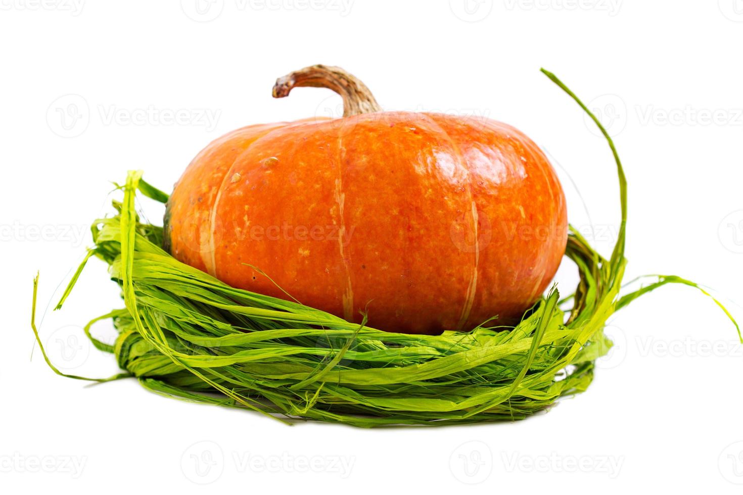 Fresh pie pumpkin isolated on white, fall concept photo