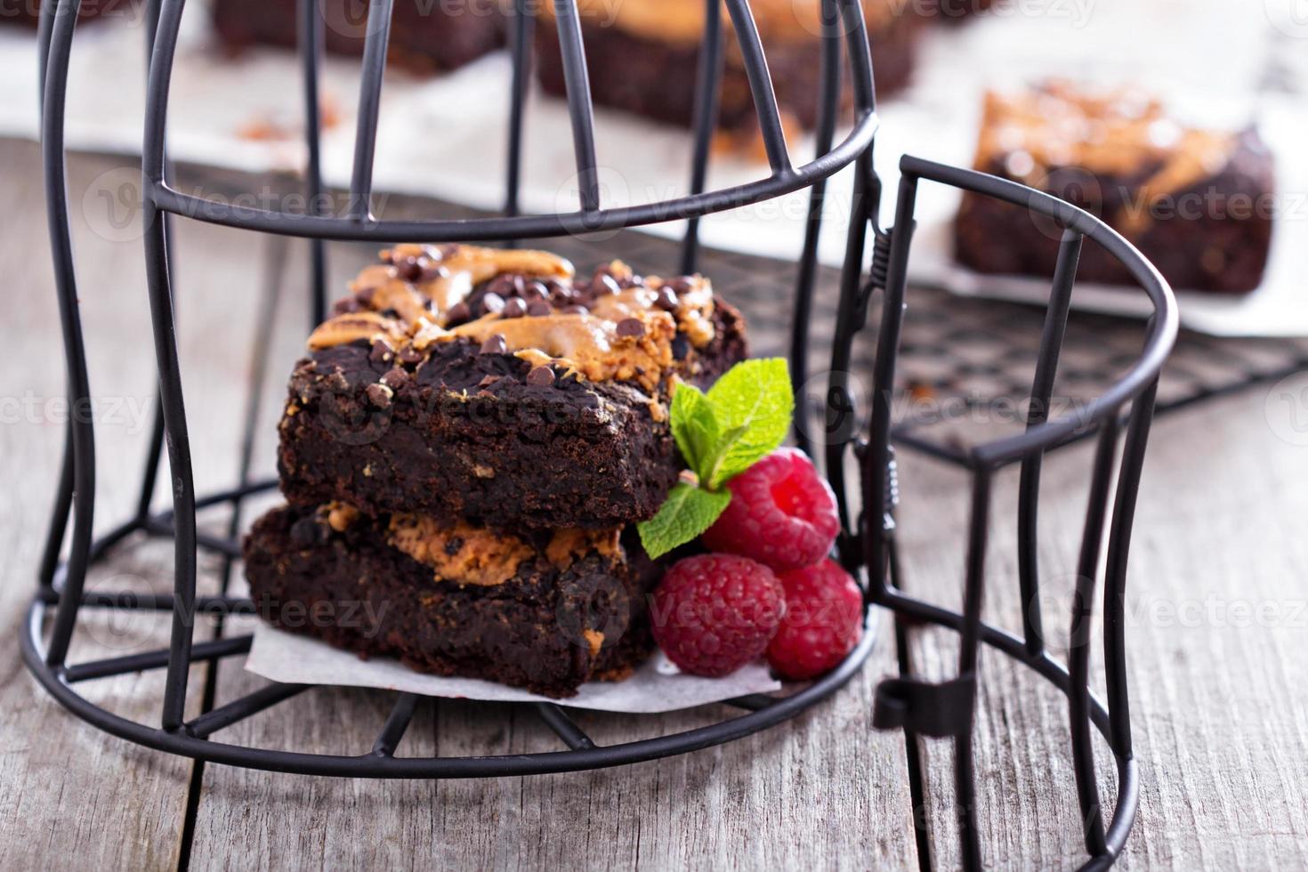 Brownies with peanut butter in a cage photo