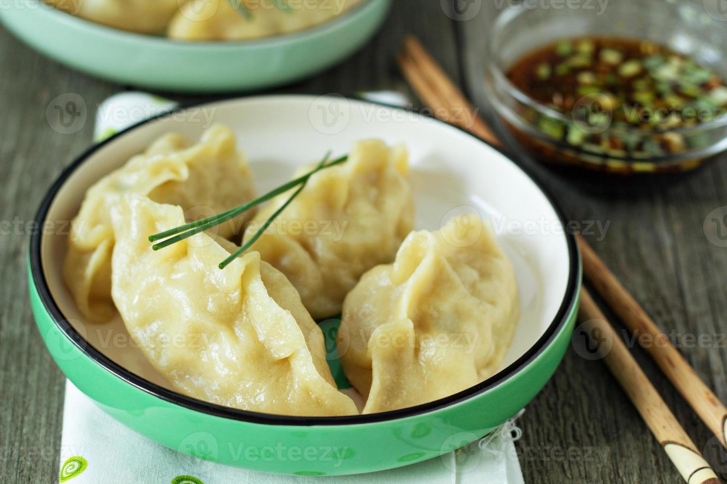Chinese dumplings with ground chicken 15704133 Stock Photo at Vecteezy