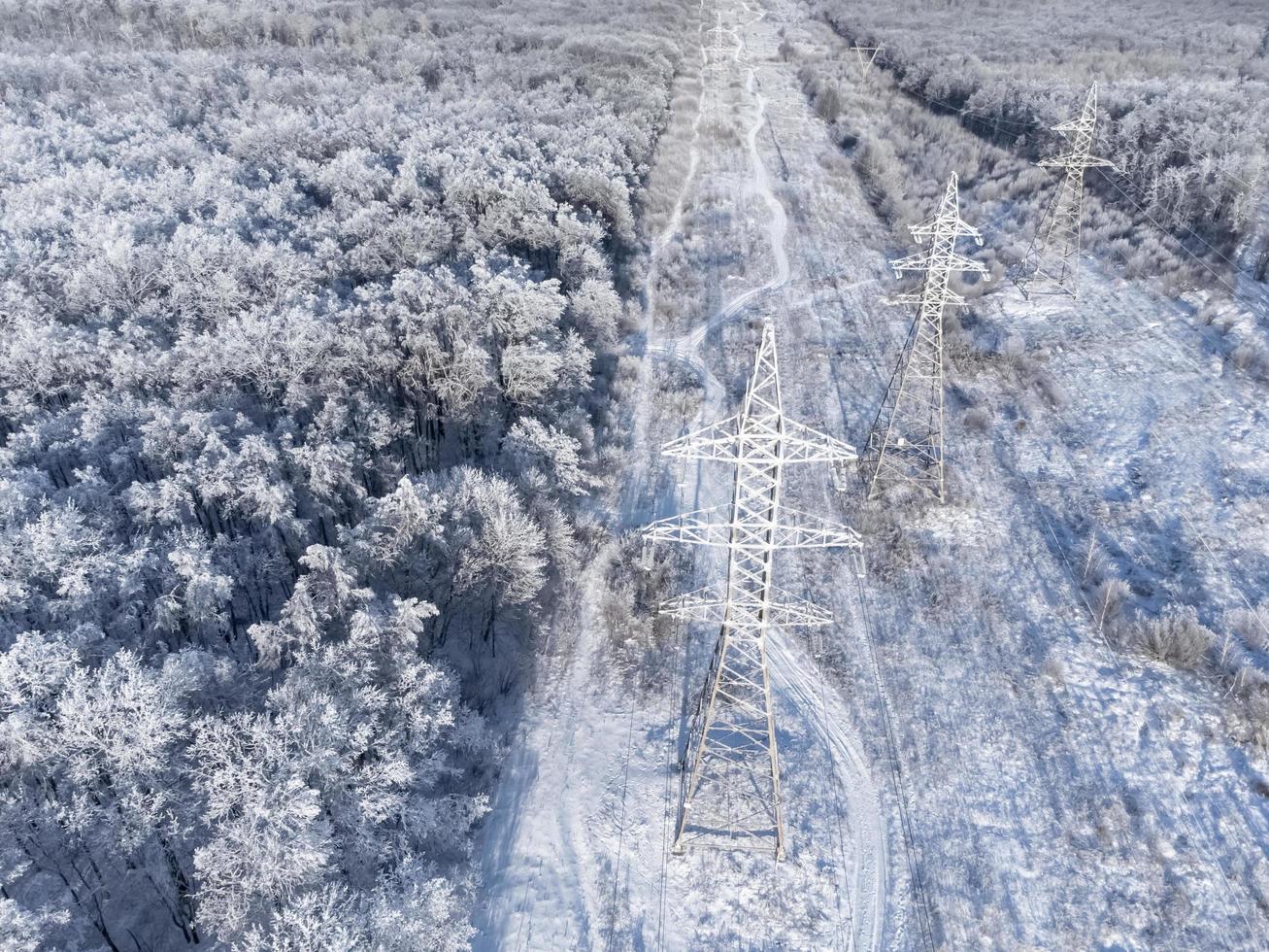 líneas eléctricas de alto voltaje a través del bosque de invierno. foto