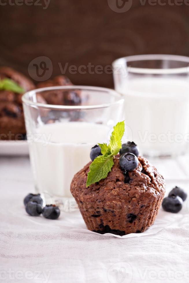 Chocolate muffins with blueberries photo