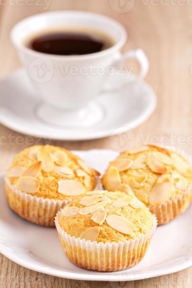 Almond muffins freshly baked, on a plate photo