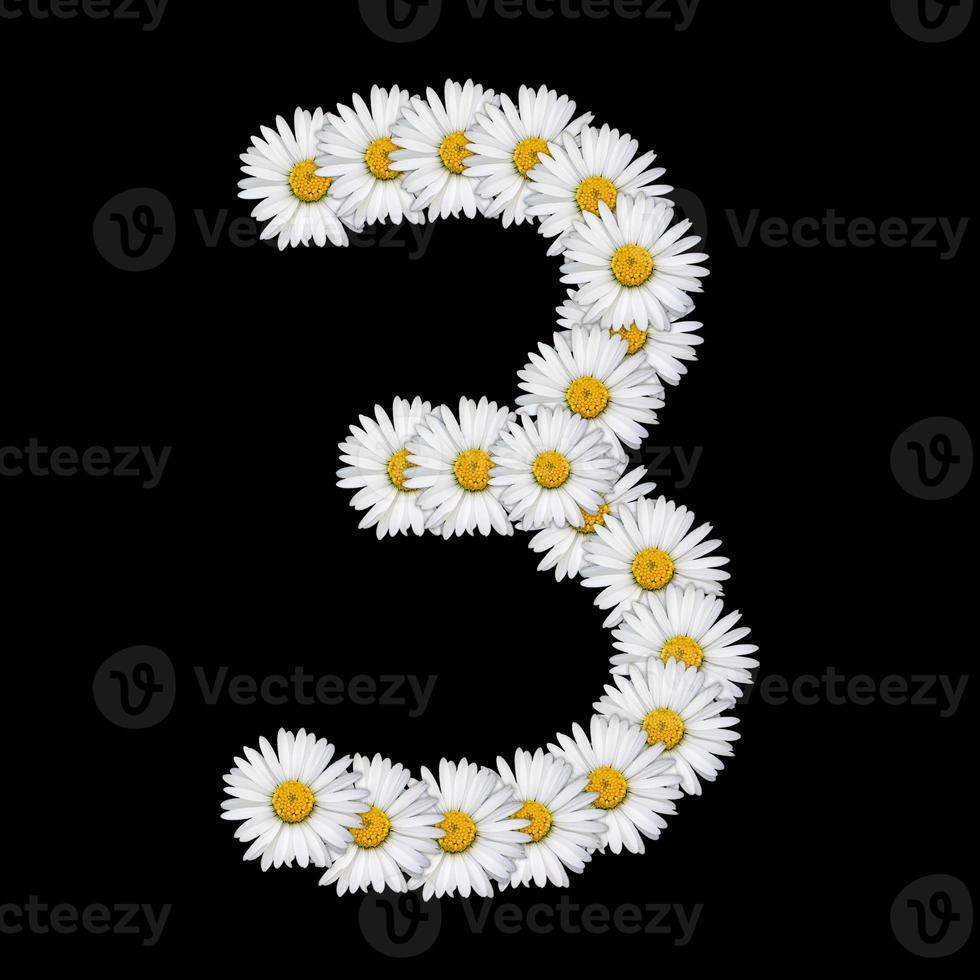 Flower number on white background 15705864 Stock Photo at Vecteezy