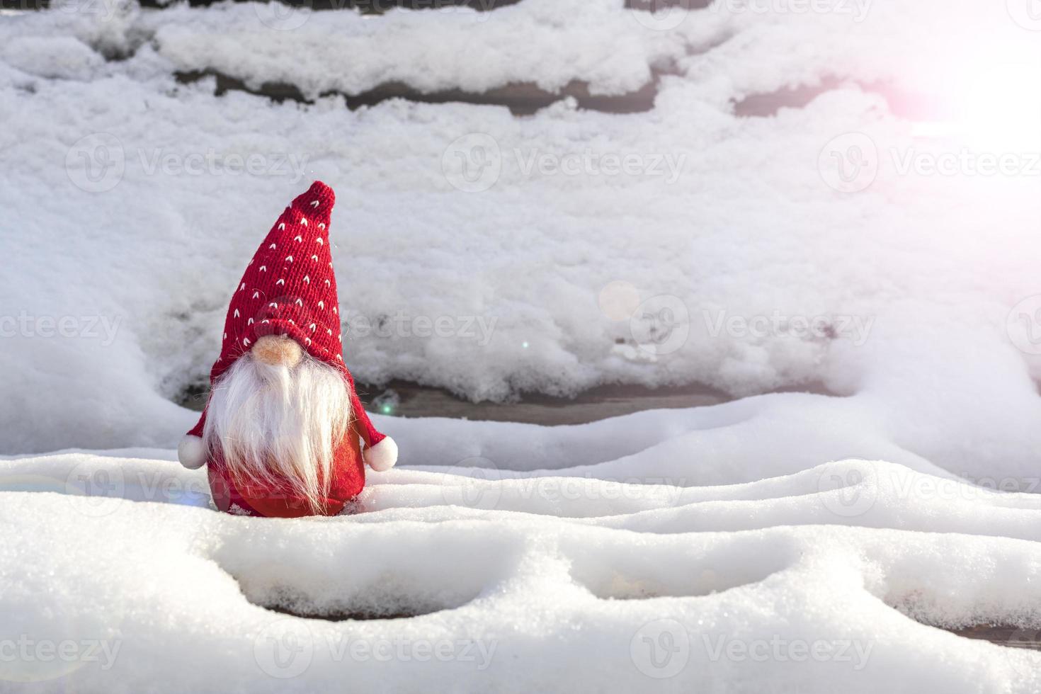 tarjeta navideña lindos gnomos escandinavos con sombrero rojo y barba blanca en un banco de invierno cubierto de nieve cuento de hadas nevadas invierno hola diciembre, enero, concepto de febrero feliz año nuevo, navidad foto