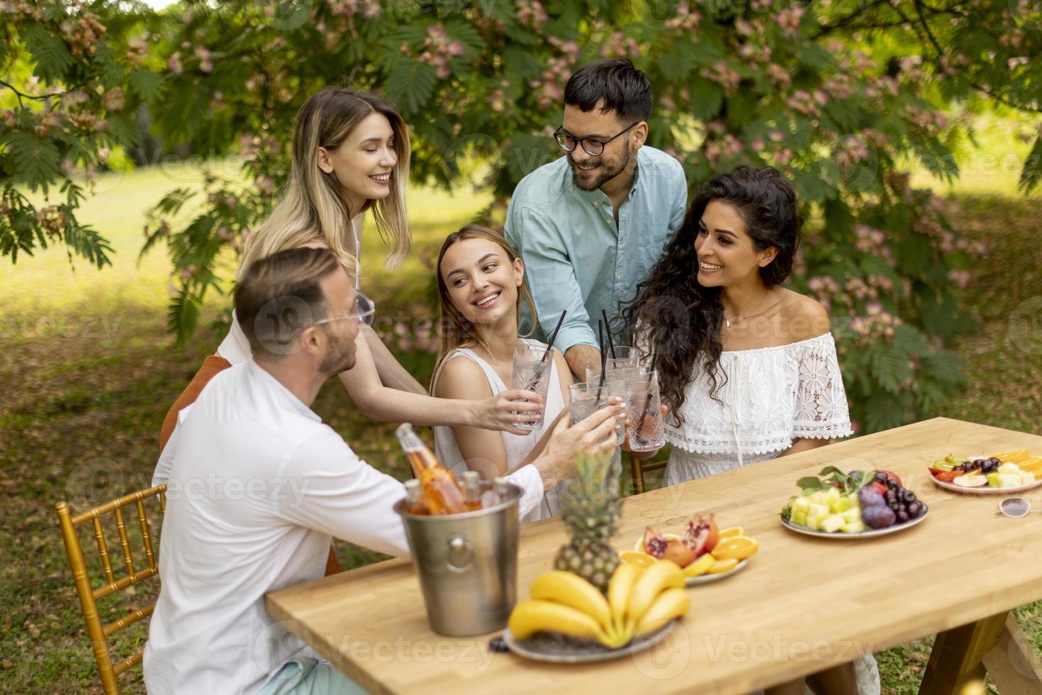 Group of happy young people cheering with fresh lemonade and eating fruits in the garden photo