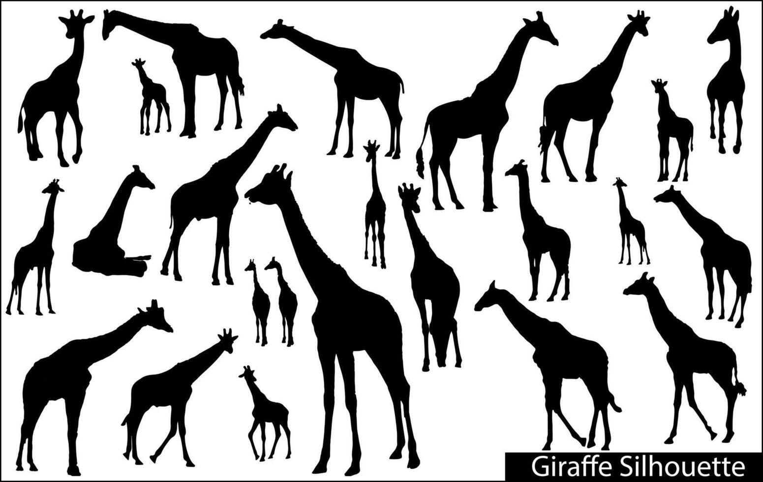 Set of vector silhouettes of giraffes