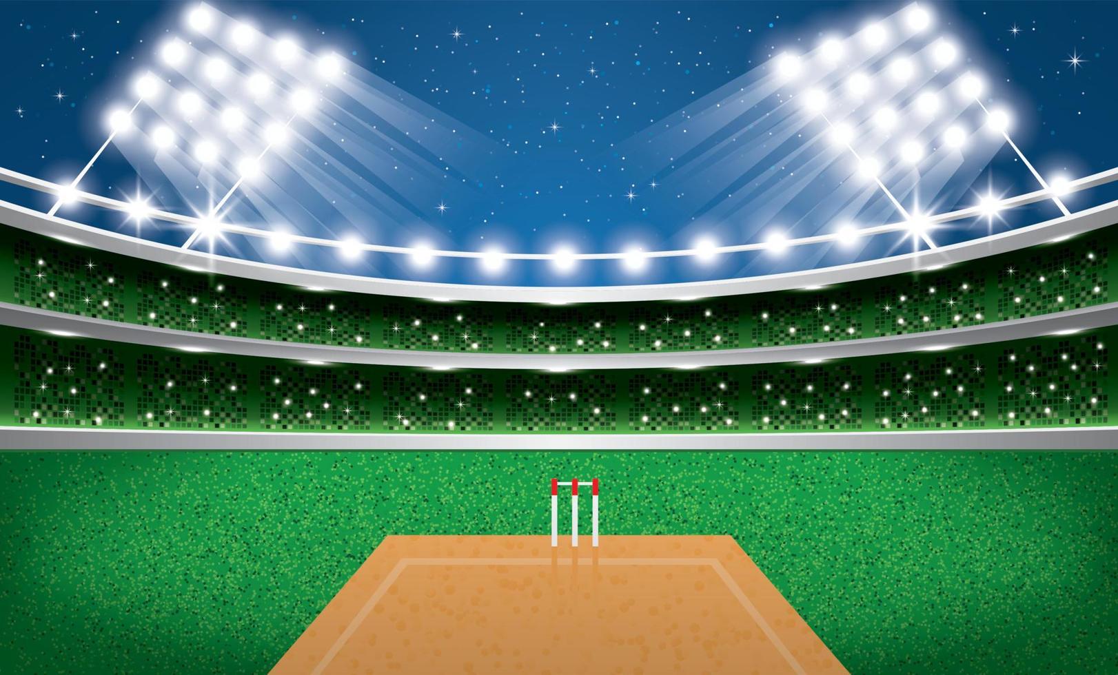 Cricket Stadium with Neon Lights. Arena. vector