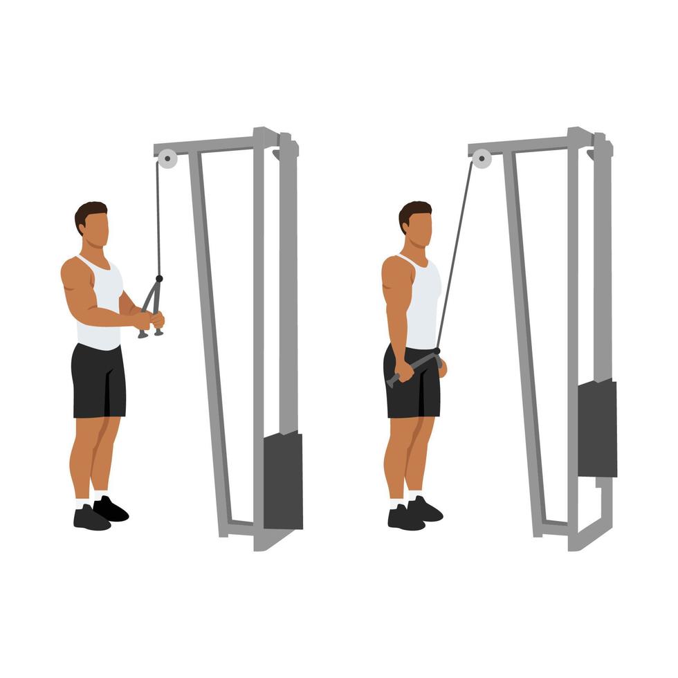 Man doing Cable rope pushdown exercise. Flat vector illustration isolated on white background