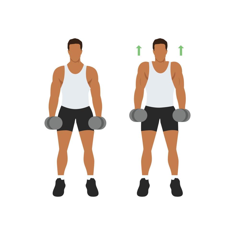 Man doing Dumbbell shrugs front view exercise. Flat vector illustration isolated on white background
