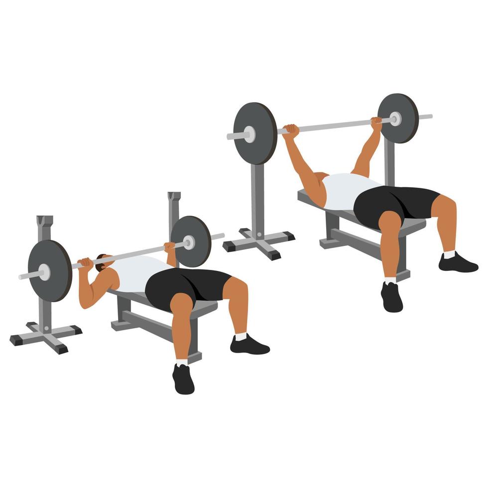 Woman doing Hammer strength machine. Seated chest press exercise. Flat  vector illustration isolated on white background. Workout character  27211901 Vector Art at Vecteezy