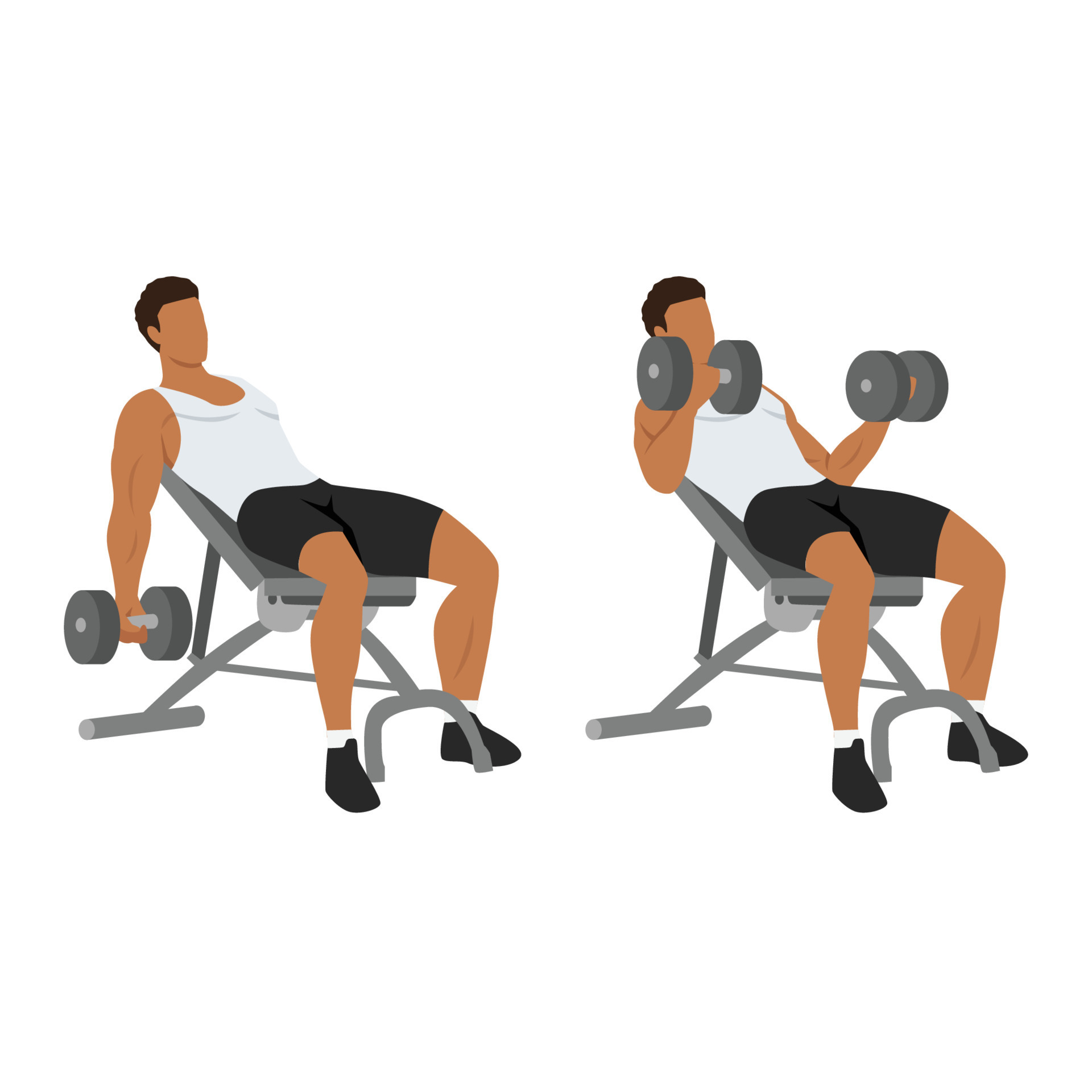 Incline Bench Dumbbell Curls