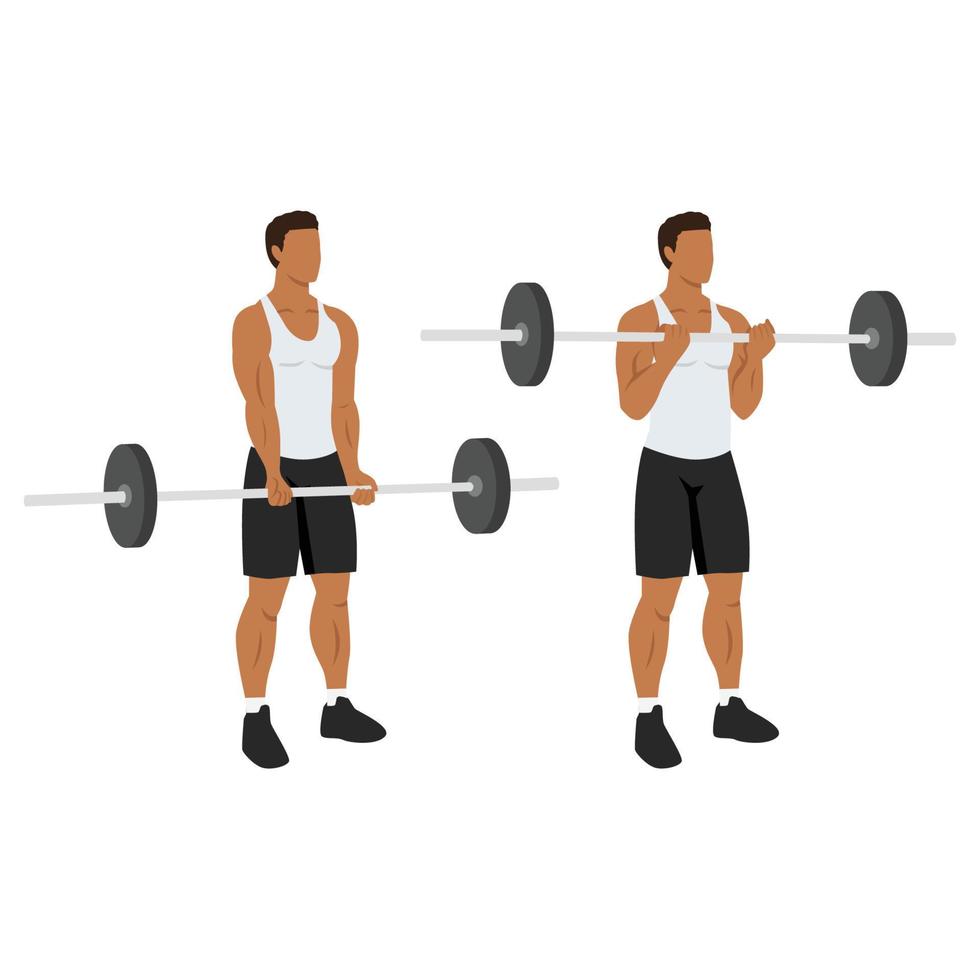 Man doing ez barbell curl. Flat vector illustration isolated on different layers. Workout character
