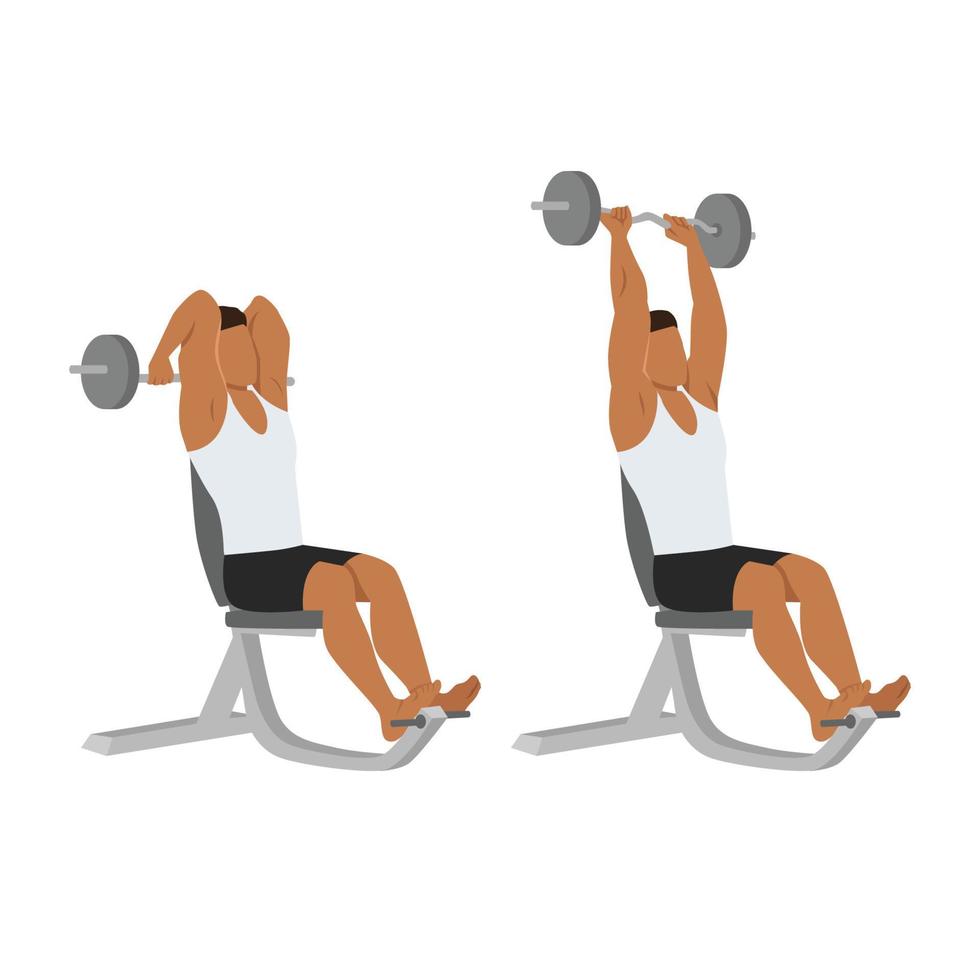 Man doing Seated barbell french press exercise. Flat vector illustration isolated on white background
