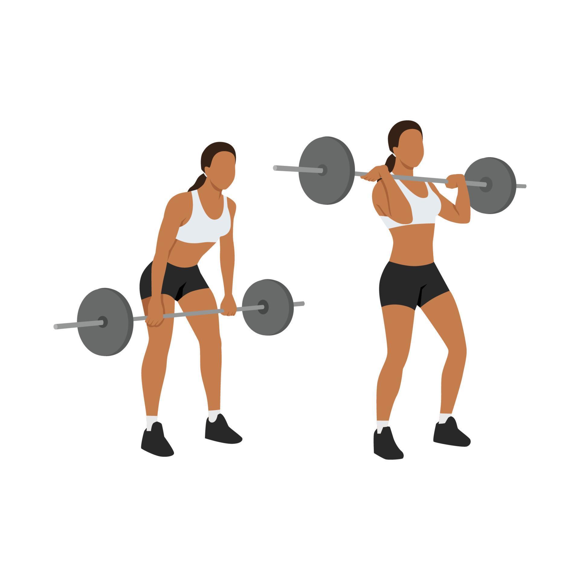 Woman doing Barbell cleans,Clean and jerk exercise. Flat vector