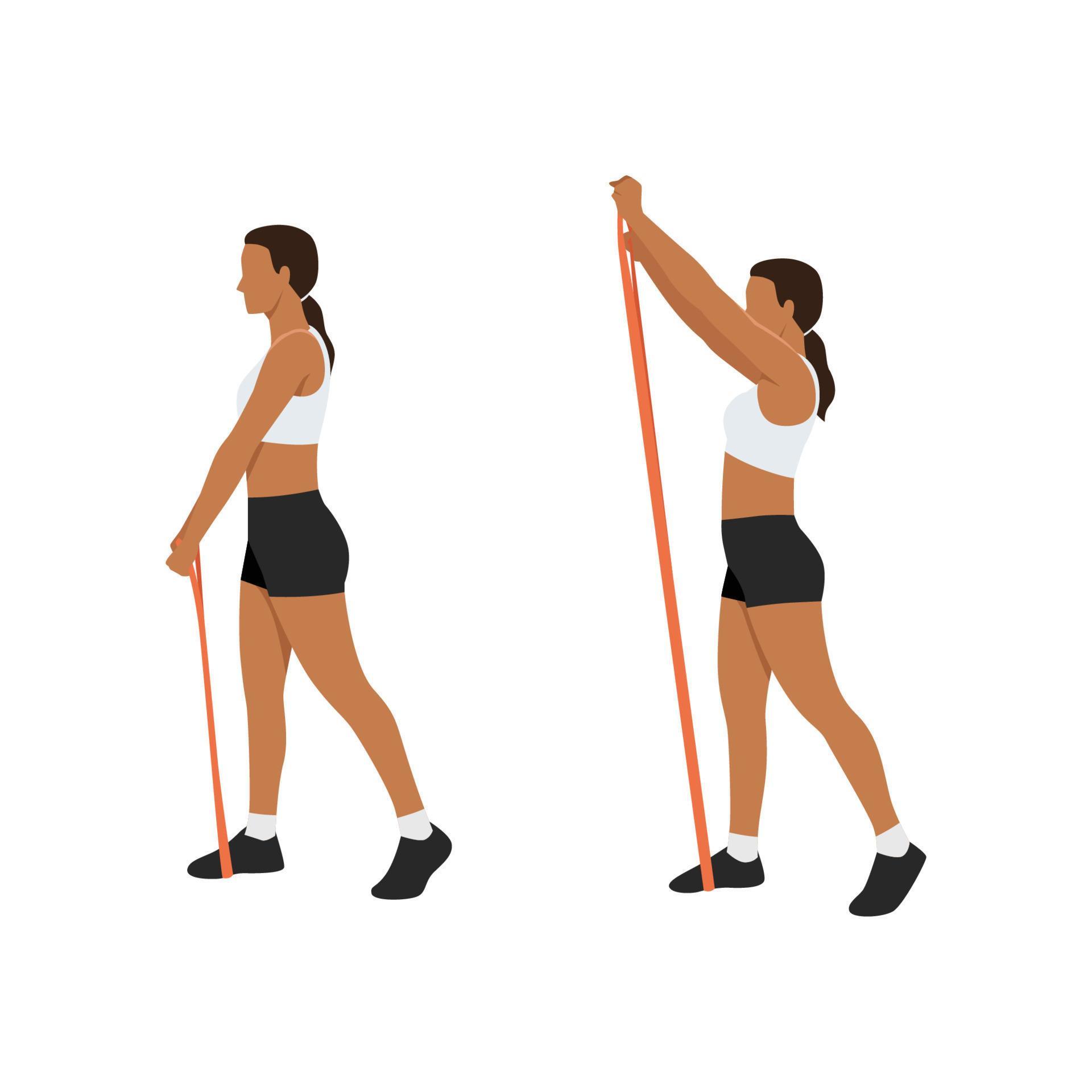 Woman doing Front raises with long resistance band exercise. Flat vector illustration isolated