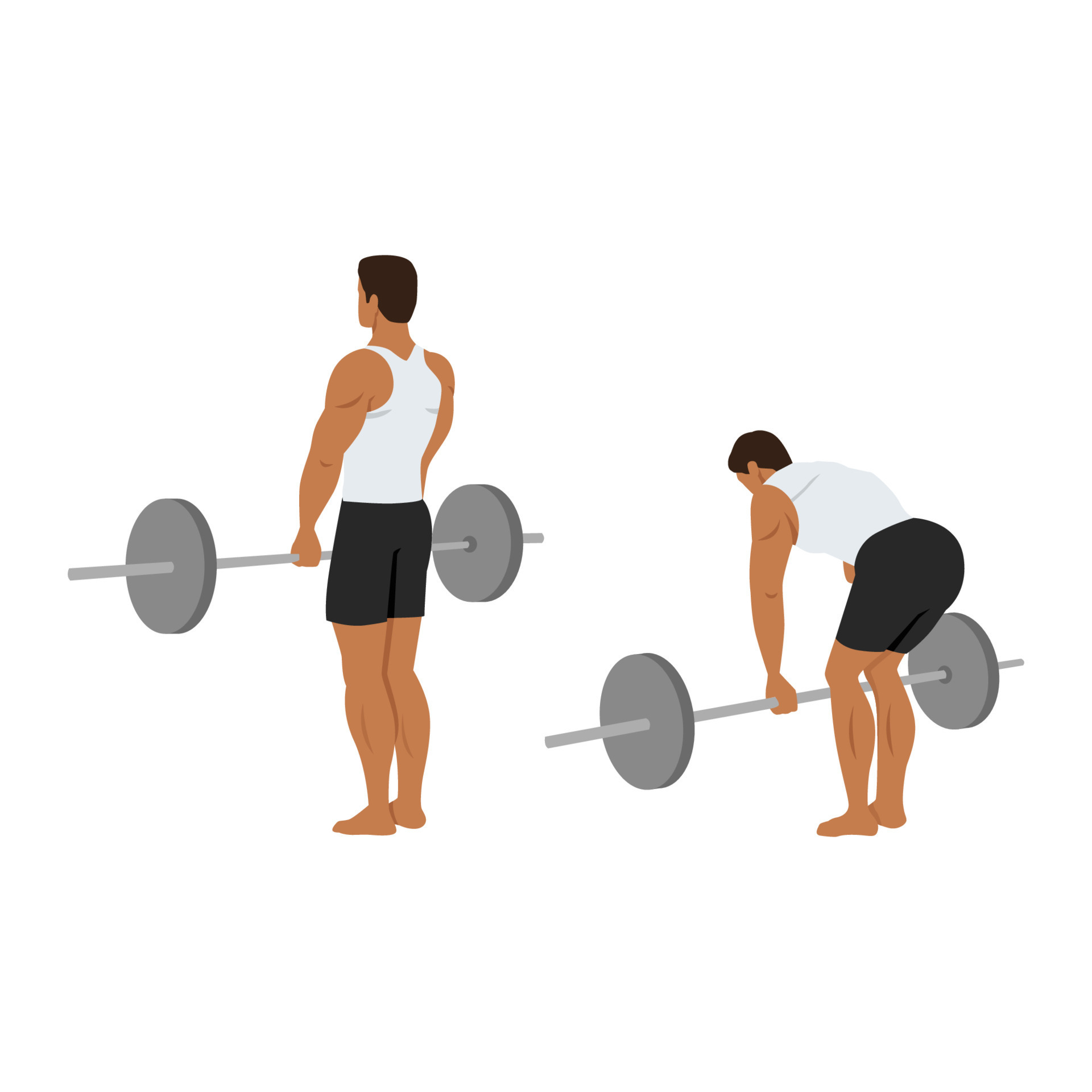 Man doing Sumo Barbell deadlifts exercise. Flat vector