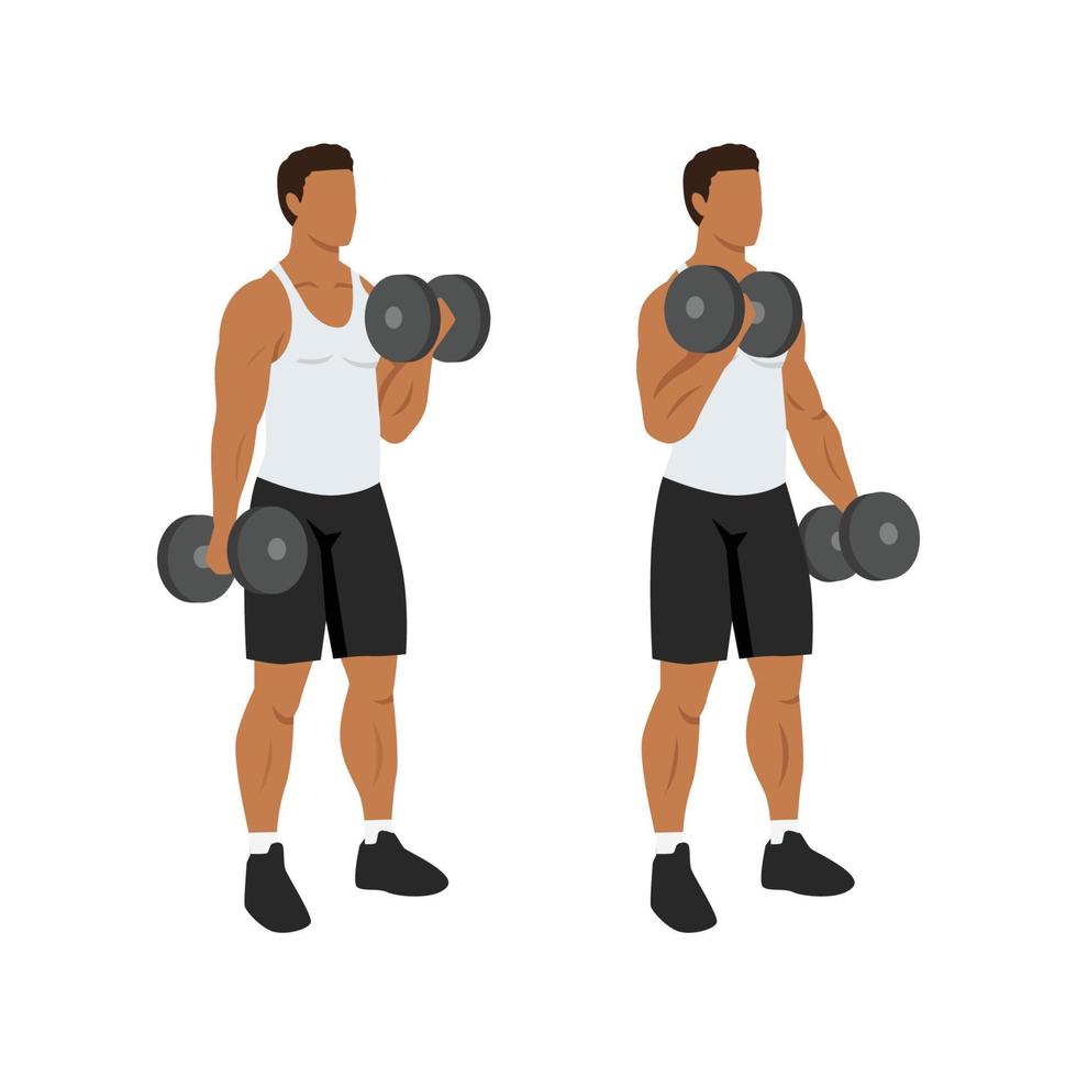 Man doing Alternating dumbbell curl. Flat vector illustration isolated on different layers. Workout character