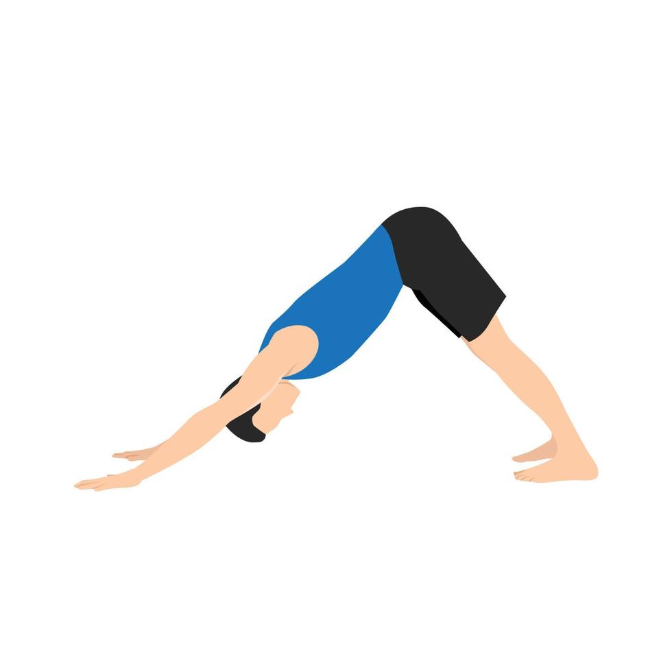 hombre haciendo adho mukha svanasana o pose de yoga de perro boca abajo, ilustración vectorial en estilo moderno vector