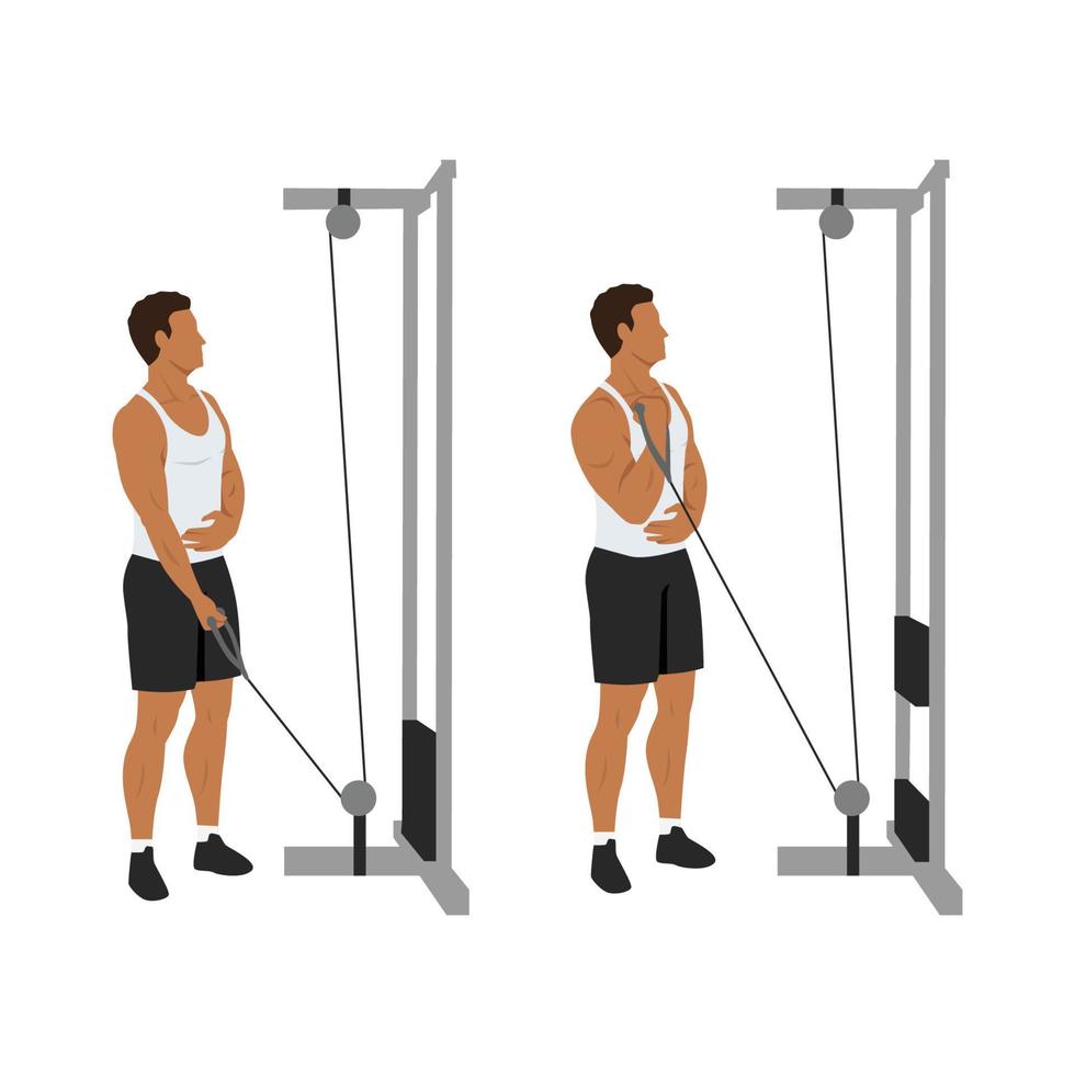 Man doing Single arm low pulley cable. Flat vector illustration isolated on different layers. Workout character